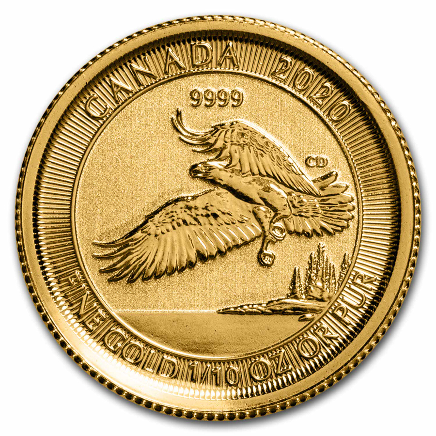 2020 Canada 1/10 oz Gold $5 Bald Eagle | eBay